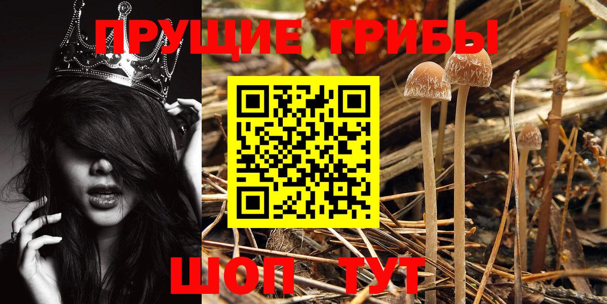 Псилоцибиновые грибы мухоморы Санкт-Петербург
