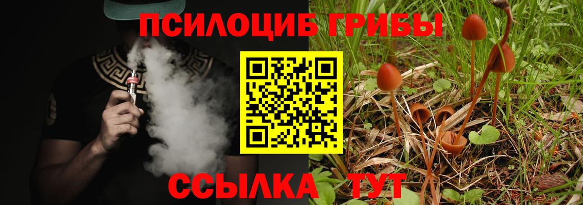 Санкт-Петербург  Галлюциногенные грибы мицелий  Галлюциногенные грибы Magic Shrooms  Вход с VPN 